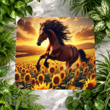 Sunflower Stallion Main Image