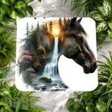 Nature Horse Main Image