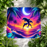 Dolphin Sunset Main Image