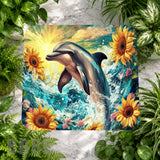 Dolphin Splash Main Image