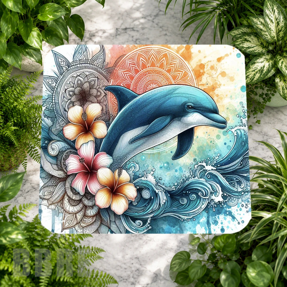 Dolphin Splash 2 Main Image