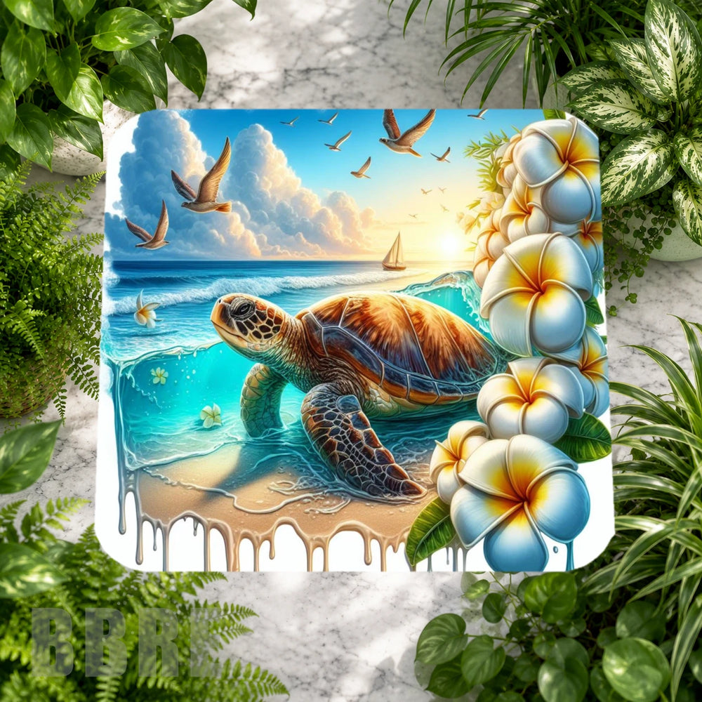 Turtle Paradise Main Image