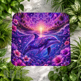 Dolphin Dream 2 Main Image