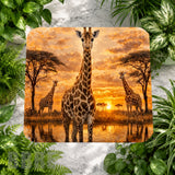 Giraffe Sunset Main Image