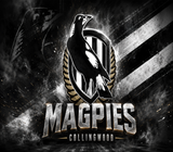 Collingwood Magpies