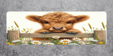Illustration of a fluffy cow behind a wooden fence with flowers on a gray background