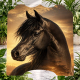 Majestic Stallion IPad Transfer