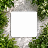 White square frame surrounded by green plants on a textured surface